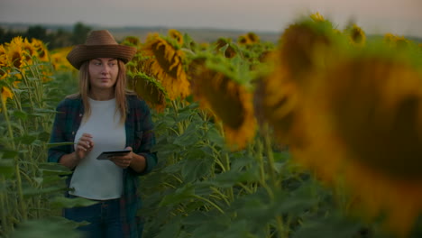 A-girl-among-tall-sunflowers-writes-down-their-features-on-her-iPad.-She-is-preparing-a-scientific-work-on-botany.